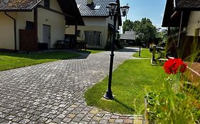 Kameleon Dźwirzyno